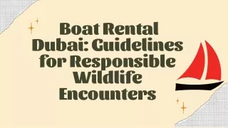 Boat Rental Dubai: 5 Top Guidelines for Responsible Aquatic Wildlife Encounters