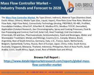 Mass Flow Controller Market