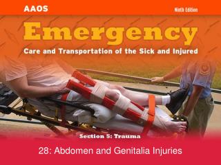 28: Abdomen and Genitalia Injuries