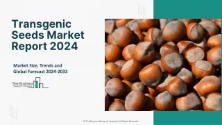 2024 Transgenic Seeds Market Growth Strategies And Industry Insights 2033