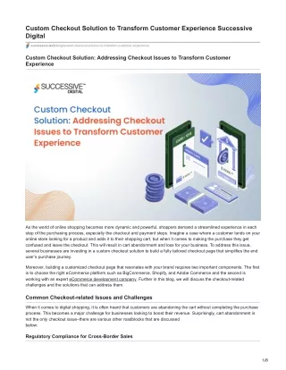 Custom Checkout Solution: Addressing Checkout Issues to Transform Customer Exp