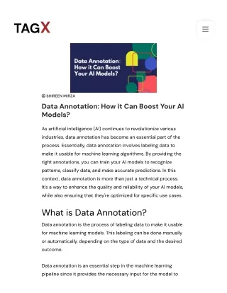 Data Annotation