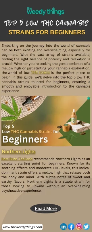 Top 5 Low THC Cannabis Strains for Beginners