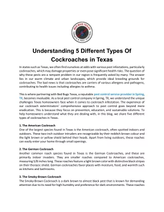 Understanding 5 Different Types Of Cockroaches in Texas