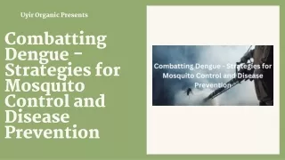 Combatting Dengue - Strategies for Mosquito Control and Disease Prevention