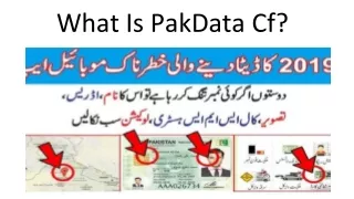 What Is PakData Cf?