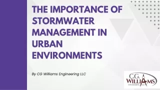 The Importance of Stormwater Management in Urban Environments