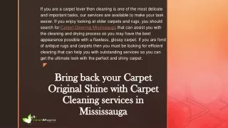 Bring back your Carpet Original Shine with Carpet
