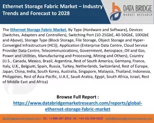 Ethernet Storage Fabric Market