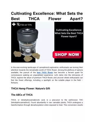 Cultivating Excellence_ What Sets the Best THCA Flower Apart