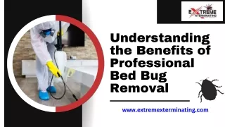 Understanding the Benefits of Professional Bed Bug Removal