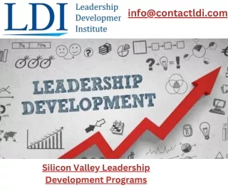 Silicon Valley leadership development programs