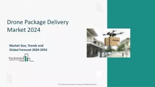 Drone Package Delivery