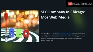 Top SEO Company In Chicago Moz Web Media