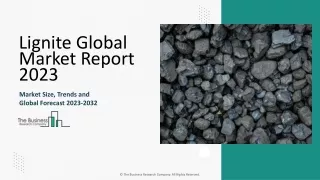 Lignite Market Share Analysis, Trends, Industry Demand Report To 2033