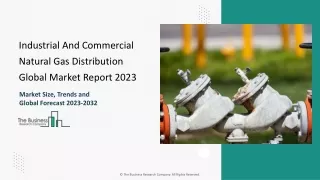 Industrial And Commercial Natural Gas Distribution Market Growth, Size 2024-2033
