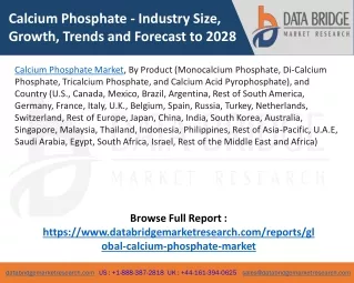 Calcium Phosphate Market – Industry Trends and Forecast to 2028