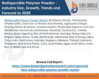 Redispersible Polymer Powder Market – Industry Trends and Forecast to 2028