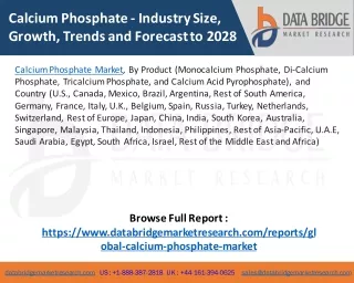 Calcium Phosphate Market – Industry Trends and Forecast to 2028