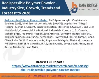 Redispersible Polymer Powder Market – Industry Trends and Forecast to 2028