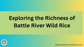 Wild Rice