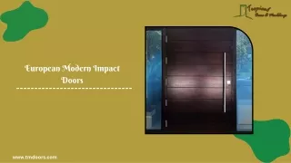 European Modern Impact Doors