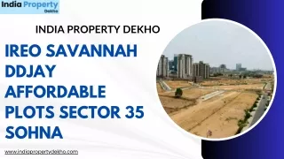 Ireo Savannah DDJAY Affordable Plots