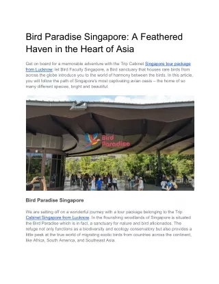 Bird Paradise Singapore_ A Feathered Haven in the Heart of Asia