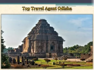 Top Travel Agent Odisha