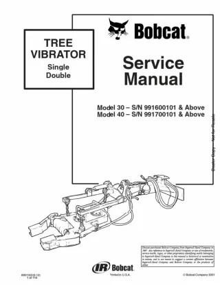 Bobcat 30 Tree Vibrator Service Repair Manual SN 991600101 And Above