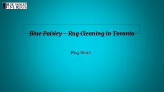 Rug Cleaning Toronto | Blue Paisley | Toronto Rug Cleaning - BluePaisley