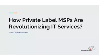 How Private Label MSPs Are Revolutionizing IT Services