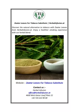 Zaatar Leaves For Tobacco Substitute  Herbalinfusion.at