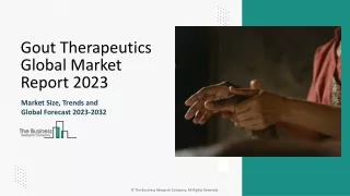 Gout Therapeutics Market Growth, Industry Demand, Top Major Players 2033