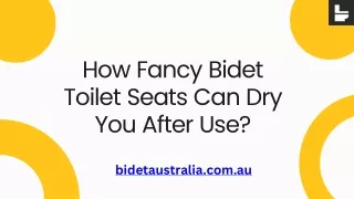 How Fancy Bidet Toilet Seats Can Dry You After Use