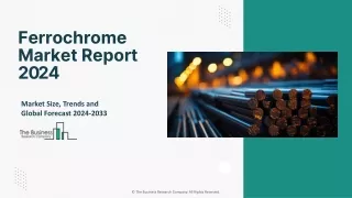 Ferrochrome Market Outlook And Analysis Through 2024-2033