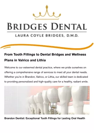 From Tooth Fillings to Dental Bridges and Wellness Plans in Valrico and Lithia