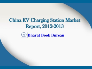 China EV Charging Station Market Report, 2012-2013