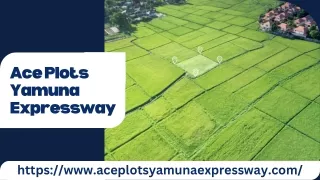 Ace Plots Yamuna Expressway | Plots In Greater Noida