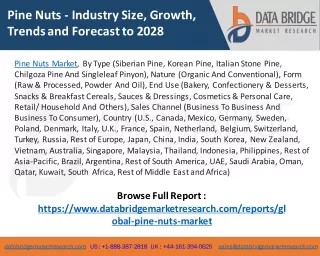 Pine Nuts Market - Industry Trends and Forecast to 2028