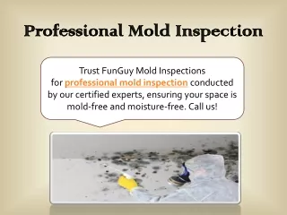 Professional Mold Inspection