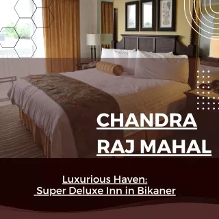 Luxurious Haven  Super Deluxe Inn in Bikaner