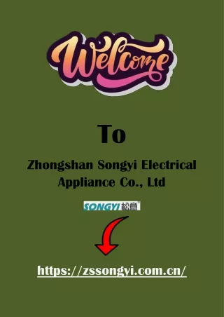 Zhongshan Songyi Water Heaters- Redefining Home Comfort with Excellence