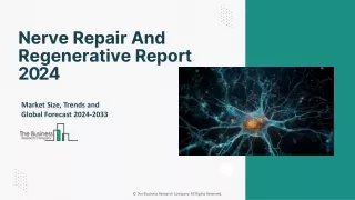 Nerve Repair And Regenerative Market: Key Drivers, Research Insights 2024