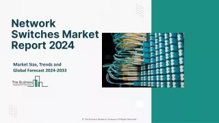 Network Switches Market Outlook: Analysis & Forecast 2024-2033