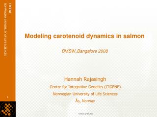 Modeling carotenoid dynamics in salmon BMSW , Bangalore 2008