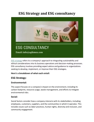 ESG Strategy and ESG consultancy