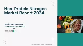 Non-Protein Nitrogen Market
