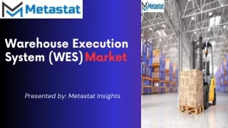 Optimizing Operations: Trends and Insights in the Warehouse Execution System (WE