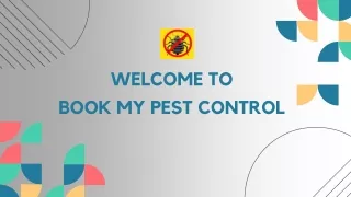 Ensuring Pest-Free Homes in Mumbai with BookMyPestControl